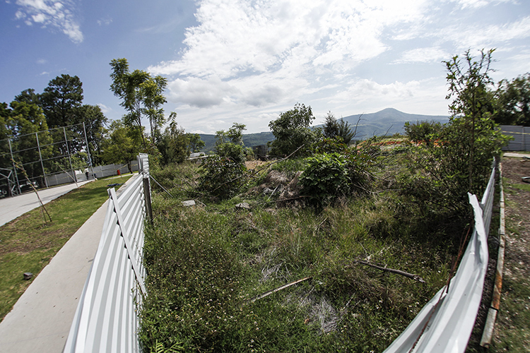 (Foto: Alfonso Hernández)